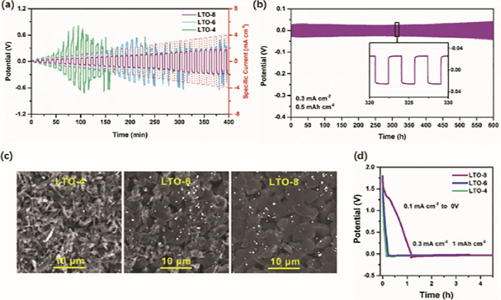 Electrochemical characterization of Li|LTO-X interface Long-term cycling performance at areal density