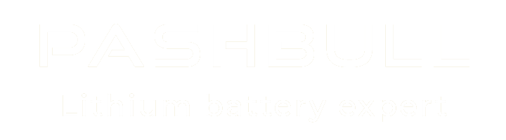 pashbull logo 2024