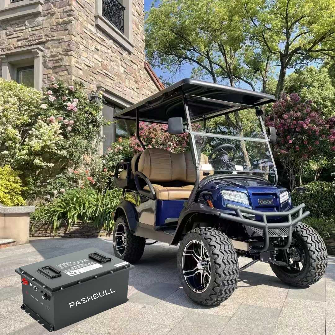 51.2V 100Ah golf cart battery