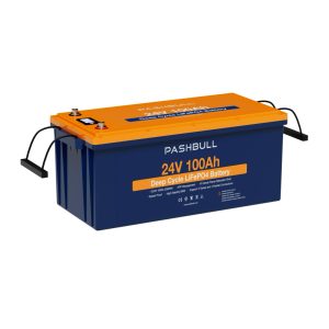 24V 100Ah LiFePO4 Deep Cycle Battery