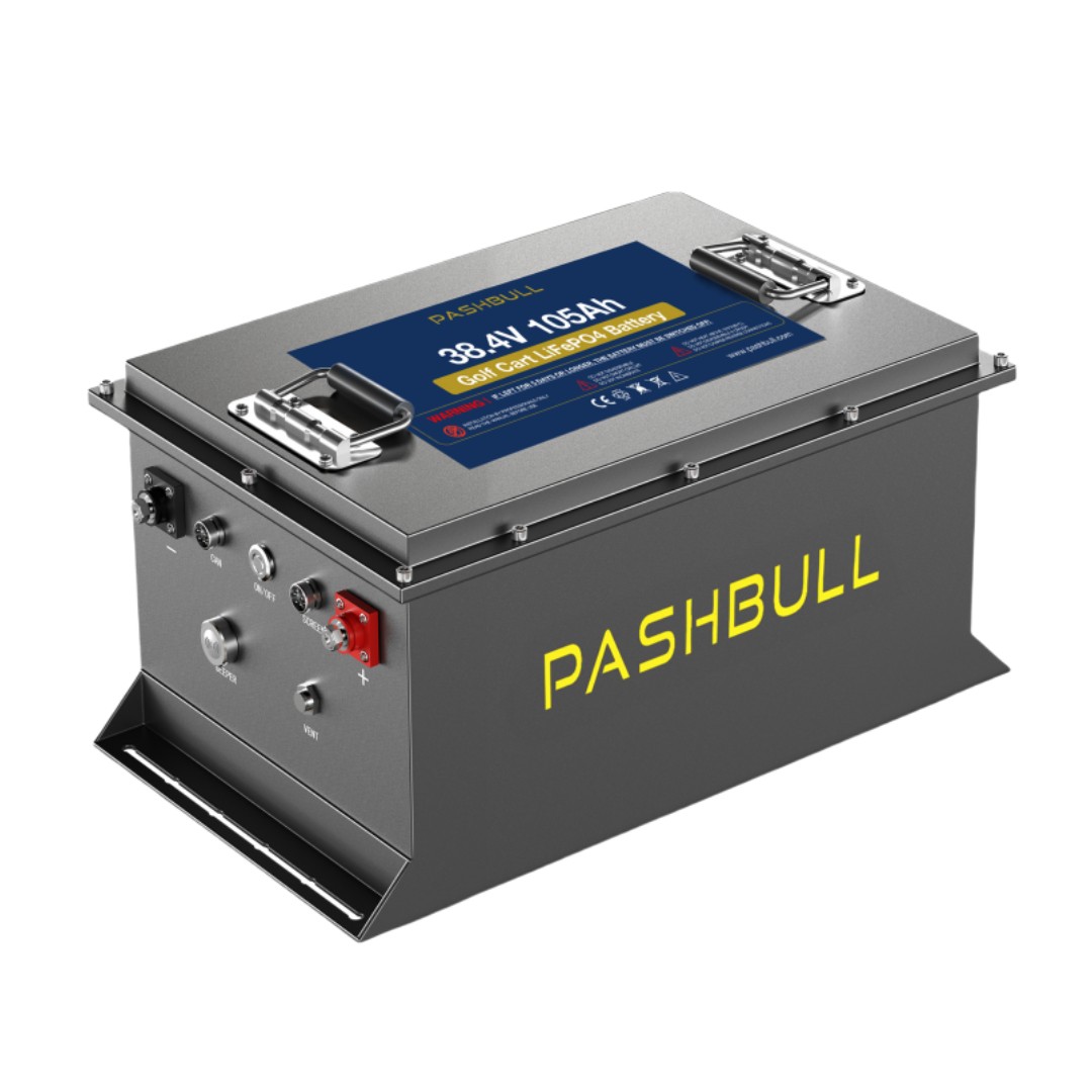 36V golf cart battery