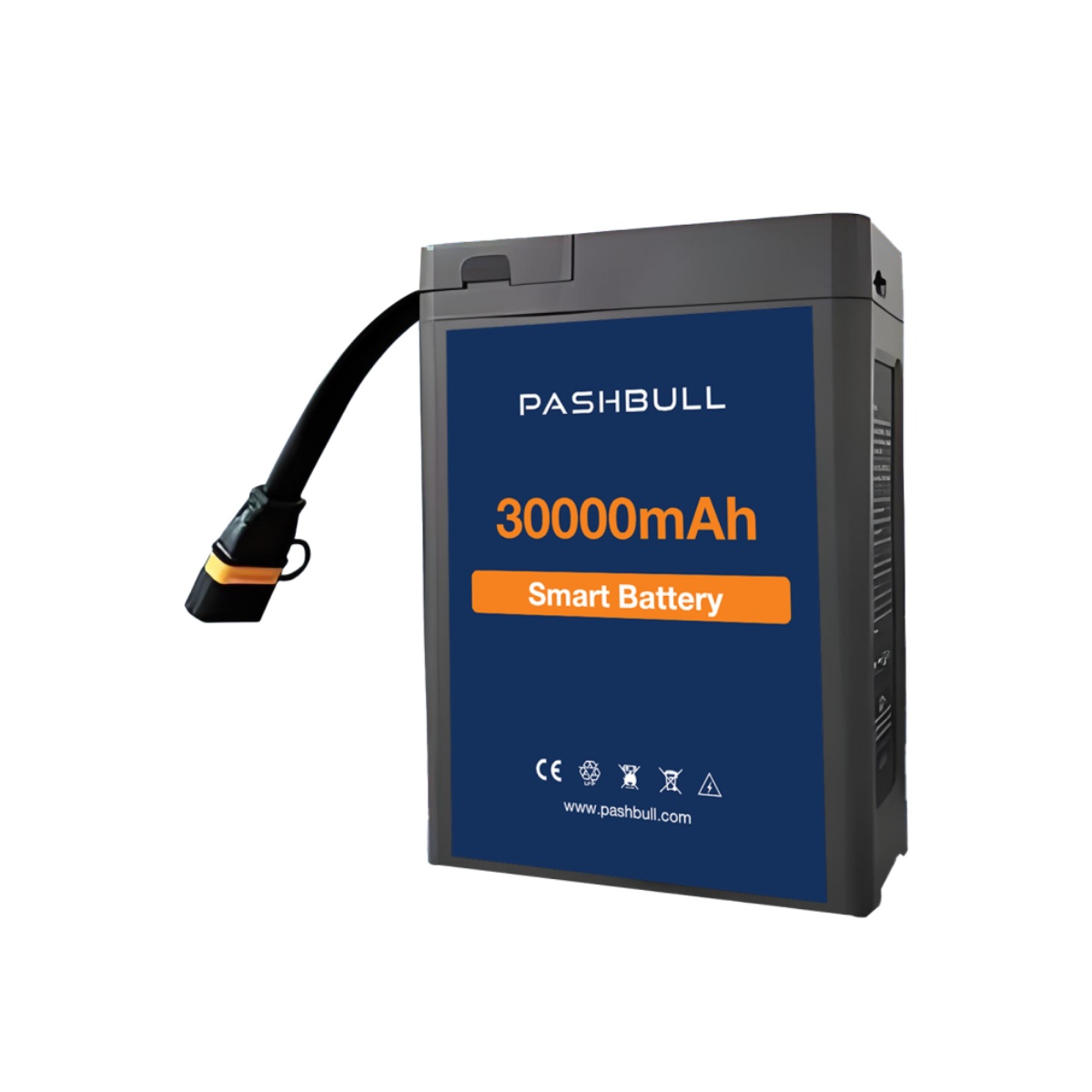 UAV Battery Pack | Pashbull